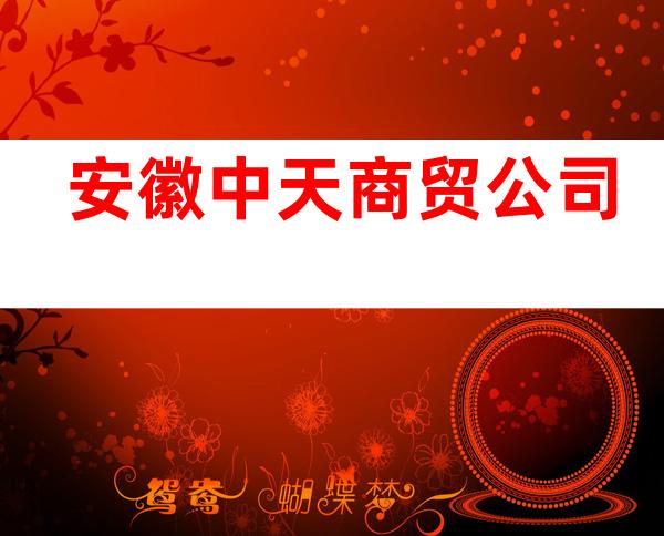 安徽中天商贸公司