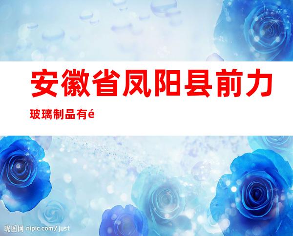安徽省凤阳县前力玻璃制品有限公司（营销部）