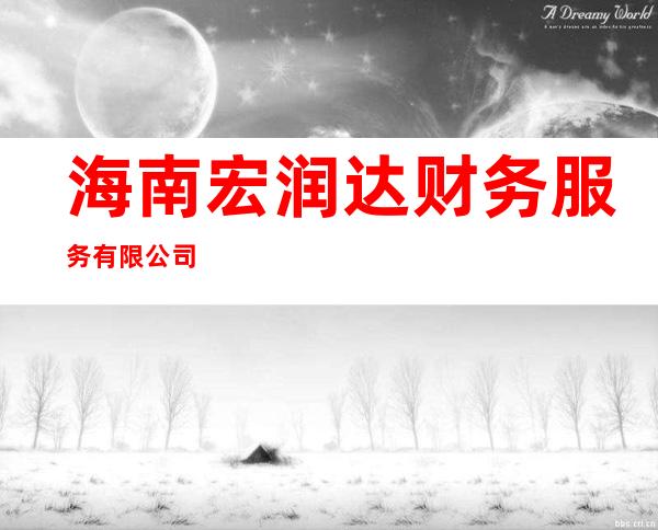 海南宏润达财务服务有限公司