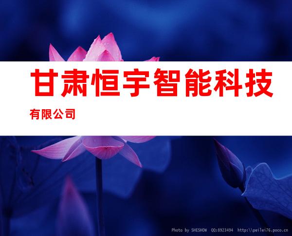 甘肃恒宇智能科技有限公司
